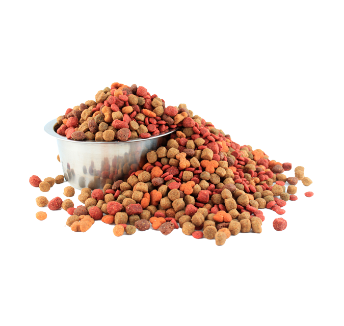 Spee-dee-Pet food H1 image