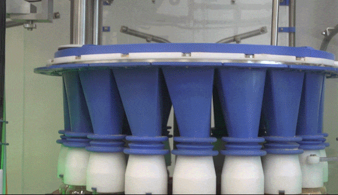Rotary-GIF3
